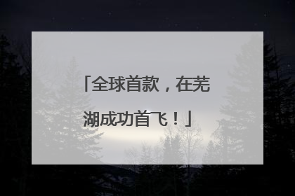 全球首款，在芜湖成功首飞！