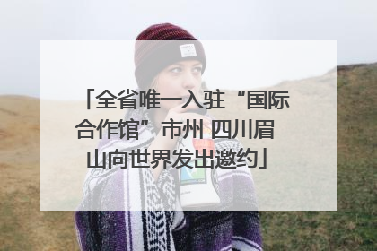 全省唯一入驻“国际合作馆”市州 四川眉山向世界发出邀约