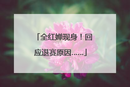 全红婵现身!回应退赛原因……