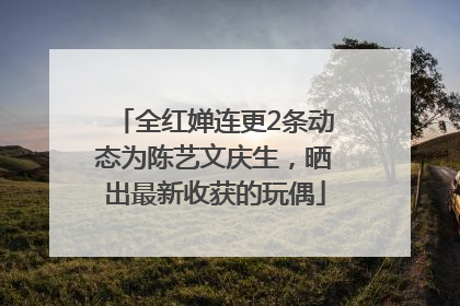 全红婵连更2条动态为陈艺文庆生，晒出最新收获的玩偶