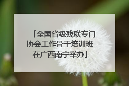 全国省级残联专门协会工作骨干培训班在广西南宁举办