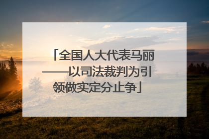 全国人大代表马丽——以司法裁判为引领做实定分止争