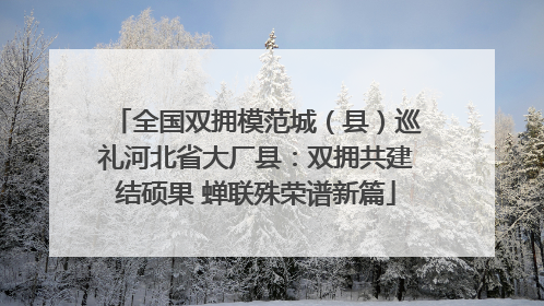 全国双拥模范城（县）巡礼河北省大厂县：双拥共建结硕果 蝉联殊荣谱新篇