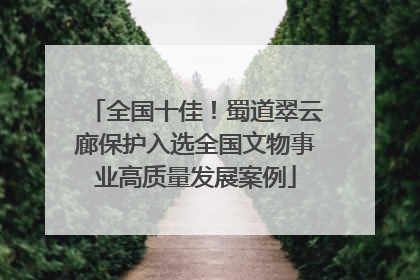 全国十佳！蜀道翠云廊保护入选全国文物事业高质量发展案例