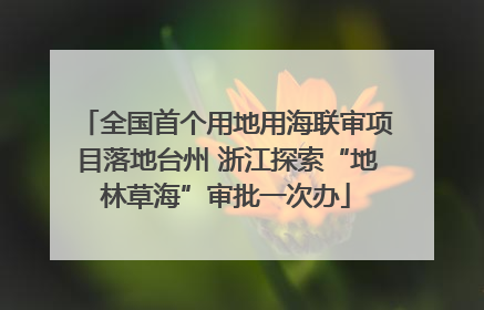 全国首个用地用海联审项目落地台州 浙江探索“地林草海”审批一次办