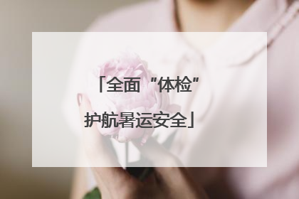全面“体检”护航暑运安全
