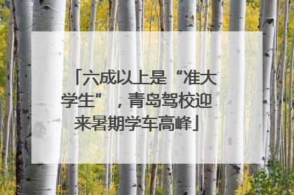 六成以上是“准大学生”，青岛驾校迎来暑期学车高峰
