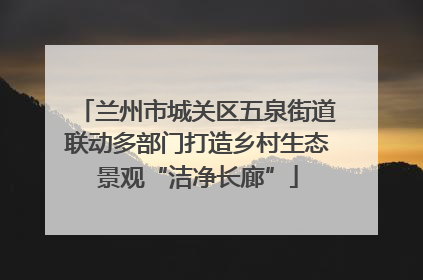 兰州市城关区五泉街道联动多部门打造乡村生态景观“洁净长廊”