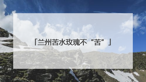 兰州苦水玫瑰不“苦”