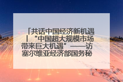 共话中国经济新机遇丨“中国超大规模市场带来巨大机遇”——访塞尔维亚经济部国务秘书尼科利奇