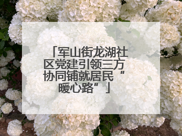 军山街龙湖社区党建引领三方协同铺就居民“暖心路”
