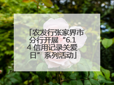 农发行张家界市分行开展“6.14 信用记录关爱日”系列活动