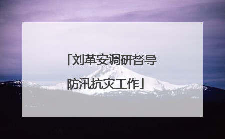 刘革安调研督导防汛抗灾工作