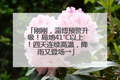 刚刚，淄博预警升级！局地41℃以上！四天连续高温，降雨又登场→