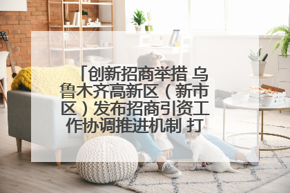 创新招商举措 乌鲁木齐高新区（新市区）发布招商引资工作协调推进机制 打造投资发展新高地