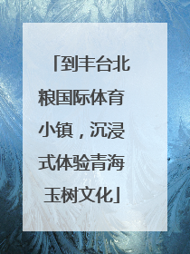 到丰台北粮国际体育小镇，沉浸式体验青海玉树文化
