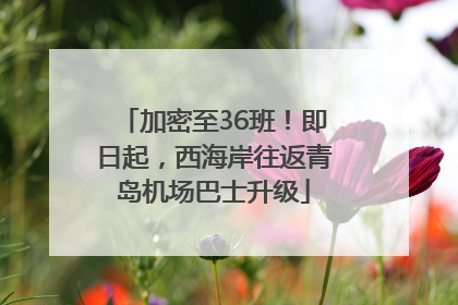 加密至36班！即日起，西海岸往返青岛机场巴士升级