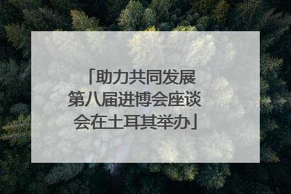 助力共同发展 第八届进博会座谈会在土耳其举办