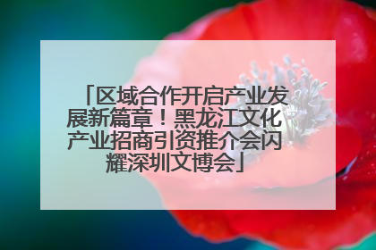 区域合作开启产业发展新篇章！黑龙江文化产业招商引资推介会闪耀深圳文博会