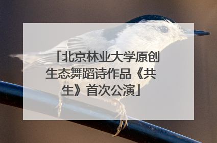 北京林业大学原创生态舞蹈诗作品《共生》首次公演