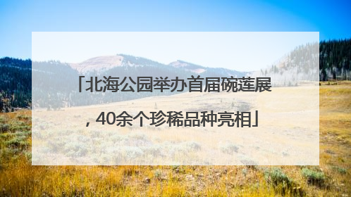 北海公园举办首届碗莲展，40余个珍稀品种亮相
