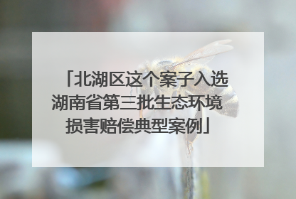 北湖区这个案子入选湖南省第三批生态环境损害赔偿典型案例