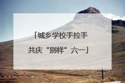城乡学校手拉手 共庆“别样”六一