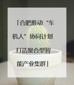 合肥推动“车机人”协同计划 打造聚合型智能产业集群