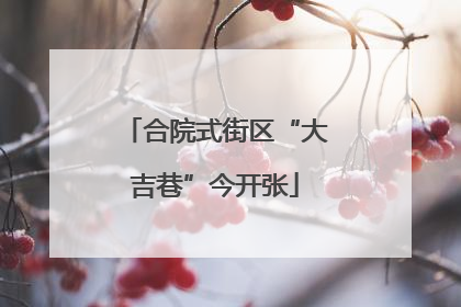 合院式街区“大吉巷”今开张