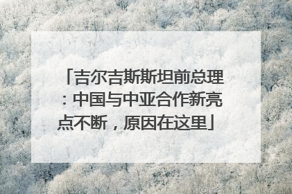吉尔吉斯斯坦前总理：中国与中亚合作新亮点不断，原因在这里