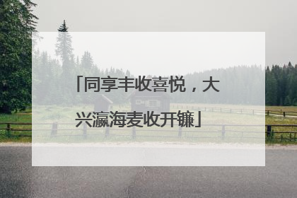 同享丰收喜悦，大兴瀛海麦收开镰