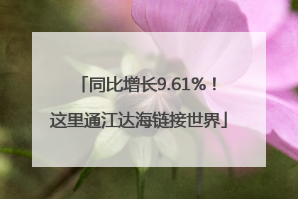 同比增长9.61%！这里通江达海链接世界