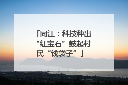 同江：科技种出“红宝石”鼓起村民“钱袋子”