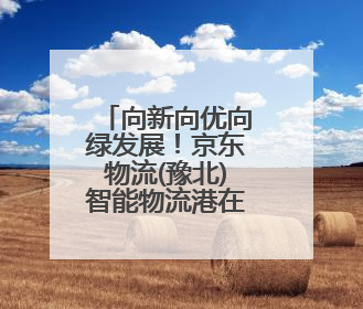 向新向优向绿发展！京东物流(豫北)智能物流港在辉县市启用