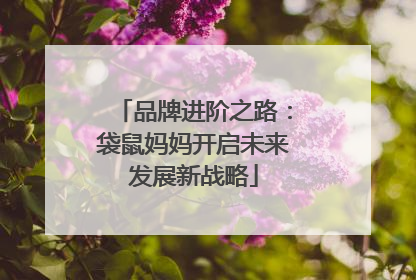 品牌进阶之路：袋鼠妈妈开启未来发展新战略