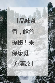 品味茶香，峪谷探秘！来保康觅一方清凉