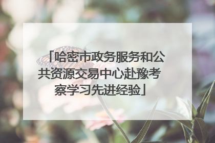 哈密市政务服务和公共资源交易中心赴豫考察学习先进经验