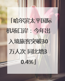 哈尔滨太平国际机场口岸：今年出入境旅客突破30万人次 同比增30.4%