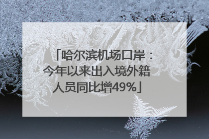 哈尔滨机场口岸：今年以来出入境外籍人员同比增49%