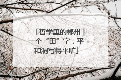 哲学里的郴州｜一个“田”字，平和洞写得平旷