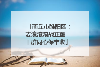商丘市睢阳区：麦浪滚滚战正酣 干群同心保丰收