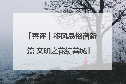善评｜移风易俗谱新篇 文明之花绽善城