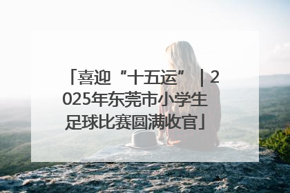 喜迎“十五运”｜2025年东莞市小学生足球比赛圆满收官