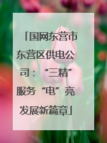 国网东营市东营区供电公司：“三精”服务“电”亮发展新篇章