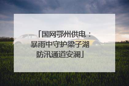 国网鄂州供电：暴雨中守护梁子湖防汛通道安澜