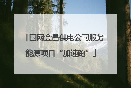 国网金昌供电公司服务能源项目“加速跑”