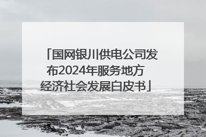 国网银川供电公司发布2024年服务地方经济社会发展白皮书
