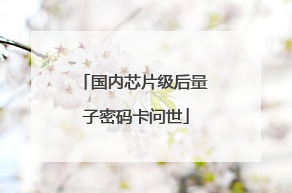 国内芯片级后量子密码卡问世