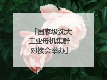 国家级沈大工业母机集群对接会举办