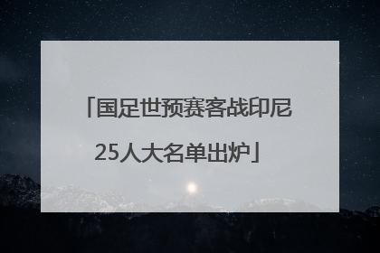 国足世预赛客战印尼25人大名单出炉
